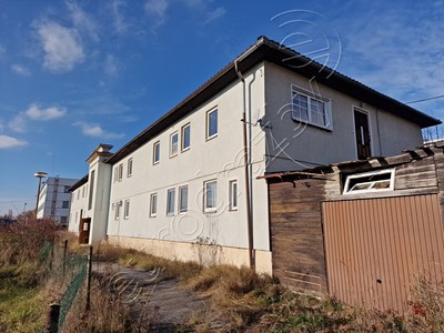 Krušnohorská, Ostrov